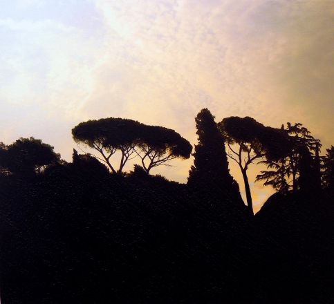 Fragments - 2013<br /><br /><h6>Rome: Trees 1</h6>  Mixed Media (Artistâ€™s own photography printed on canvas, and acrylic paint) <br /> 595mm x 525mm H <br /><br /><br /><br /><br /><br /><br /><h7>Sold</h7>